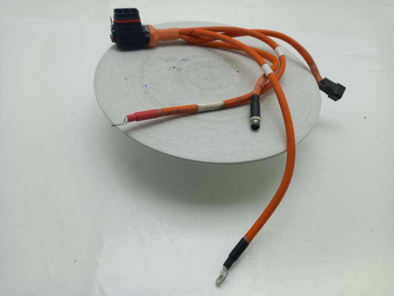 2009 Vertix Electric Wiring Harness Tal5002054000000