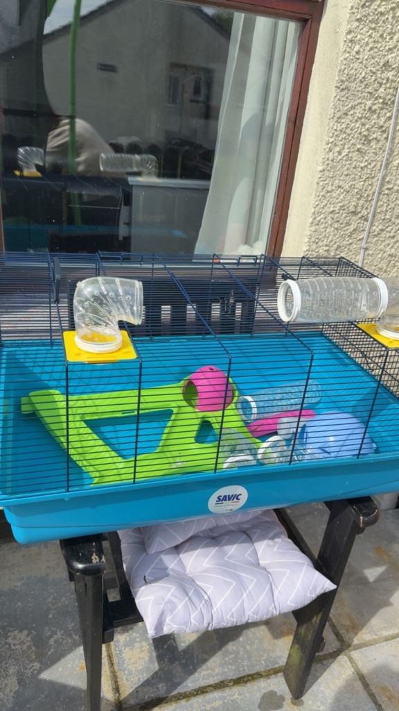 Hamster cage