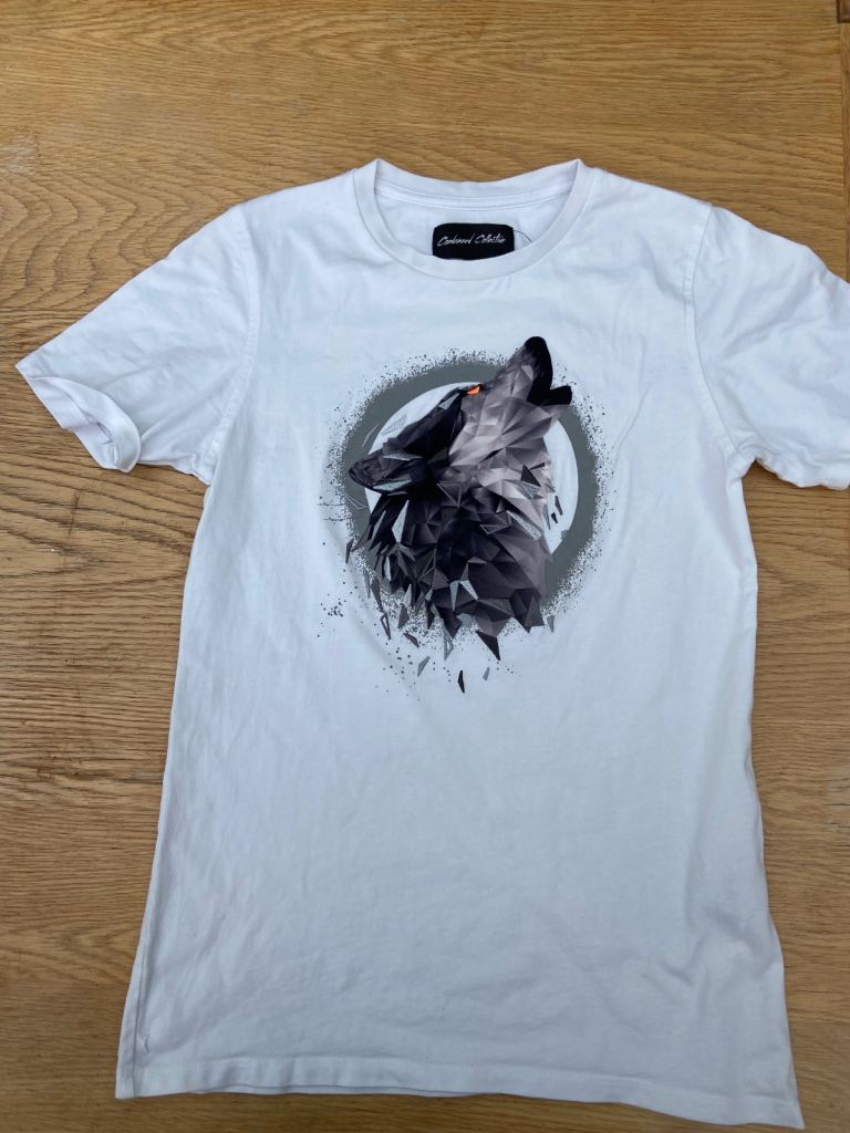 Boys T-Shirts,  4 for £25, size medium,  from Footasylum . 