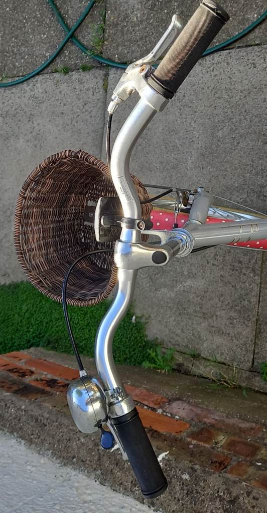 Kids Pendleton Hanberry Bike. | in Hull, East Yorkshire | Gumtree