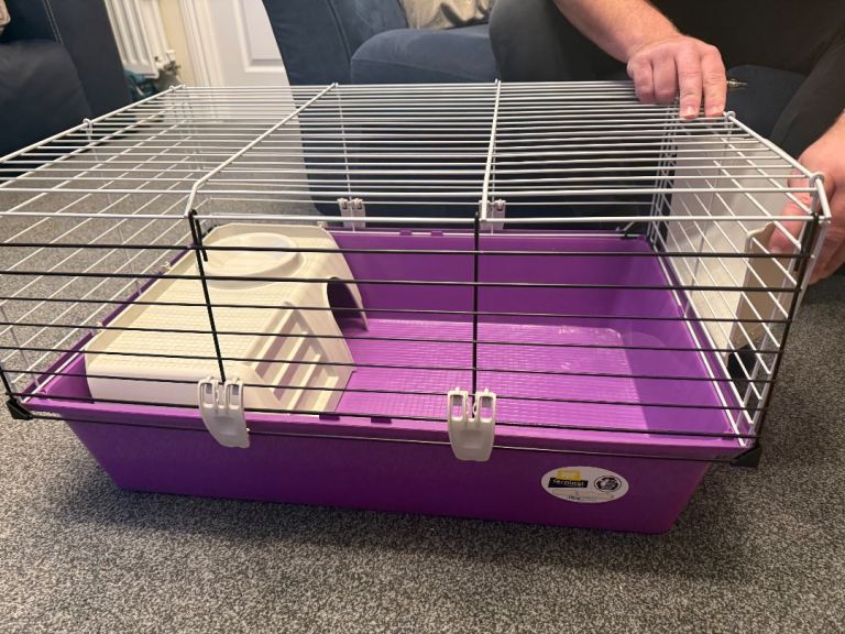 Guinea pig cage 