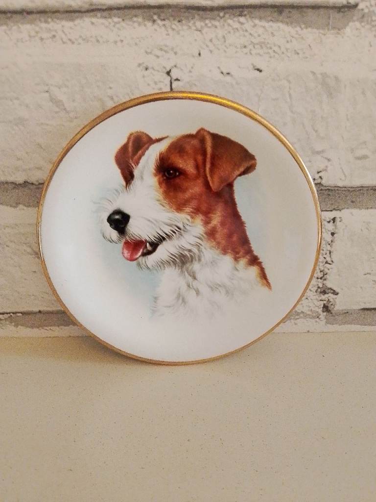 Decorative Dog Portrait Plate - Good Condition