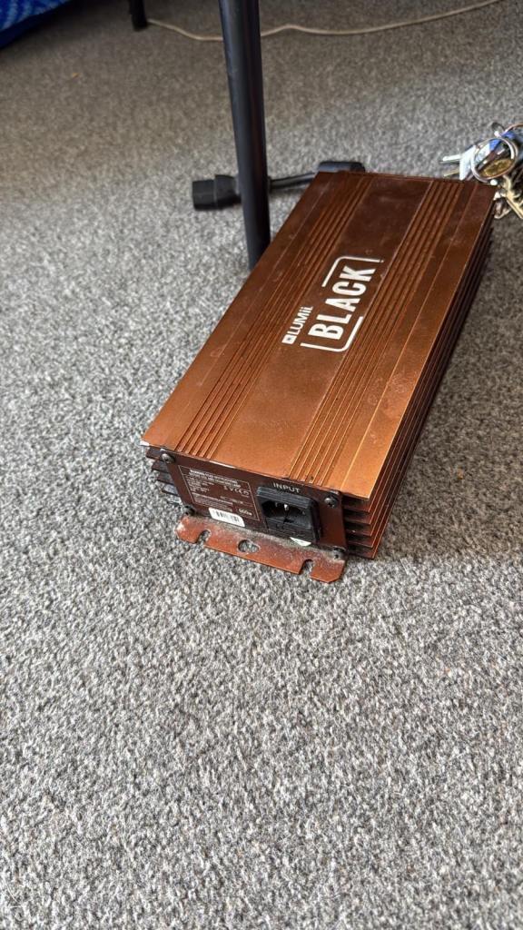 LUMii black 600w digital ballast