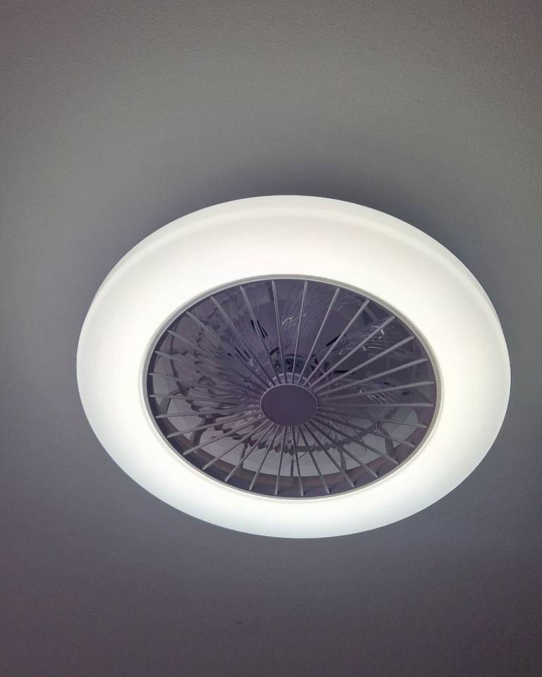 Quiet, adjustable ceiling fan with light