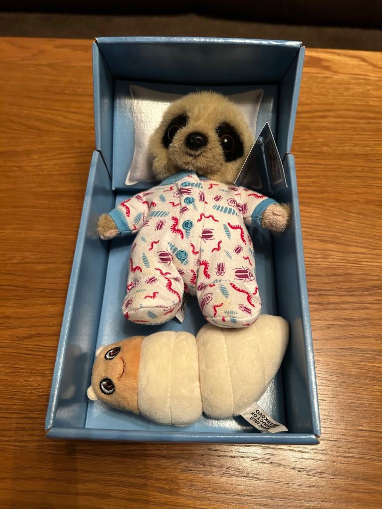 Baby Oleg Meerkat
