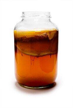 Kombucha scoby