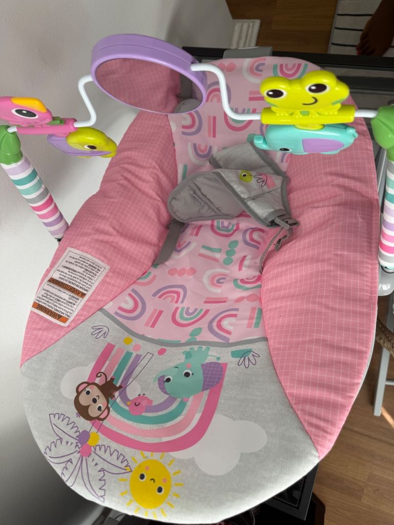 Baby Bouncer and Moses Basket Bundle – Good Condition