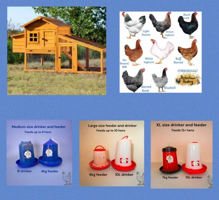 Hens coop chicken house poultry ark