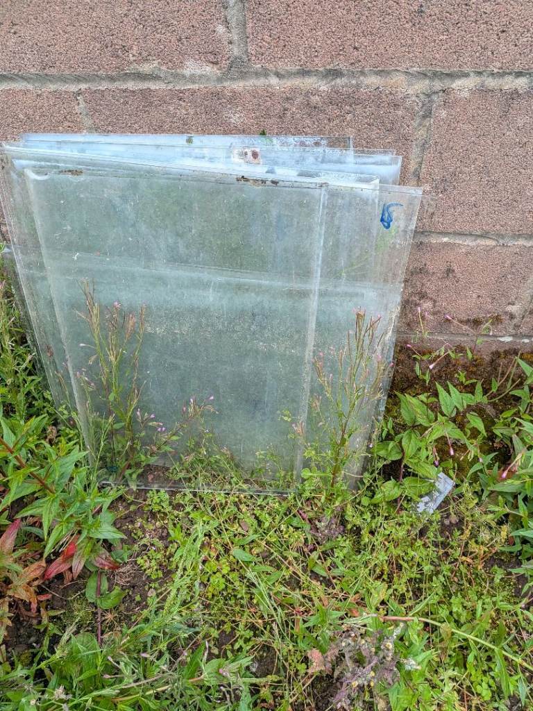  Greenhouse glass 