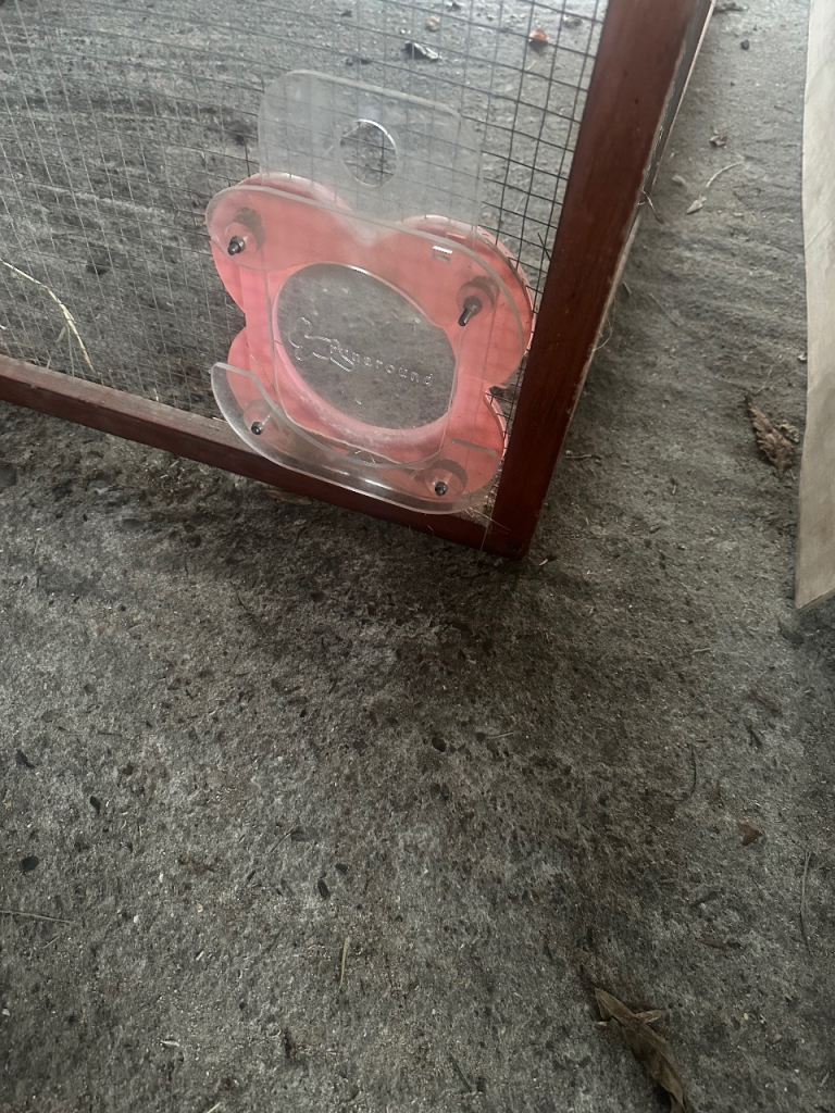 Guinea Pig/Rabbit Pen