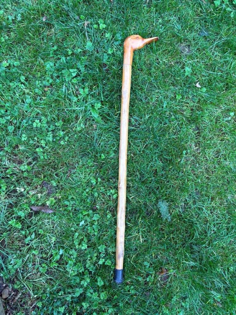 image for Walking stick