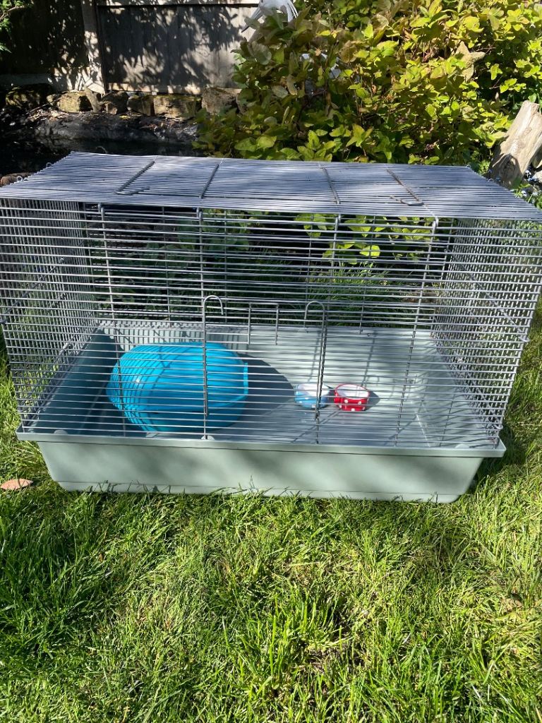 Guinea pig cage