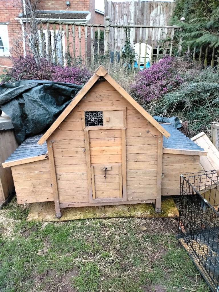 Large chicken coop