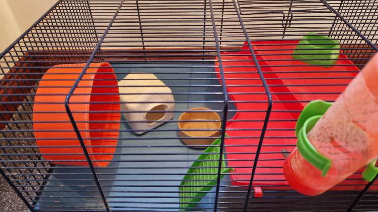 FREE 2 x Hamster Cages