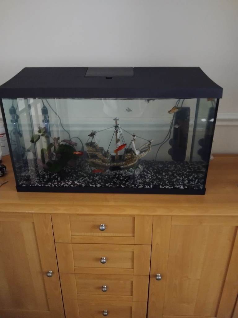 Fish Tank with Lid and Gravel – Good Condition