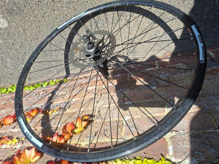 29 inch rear bike wheel
