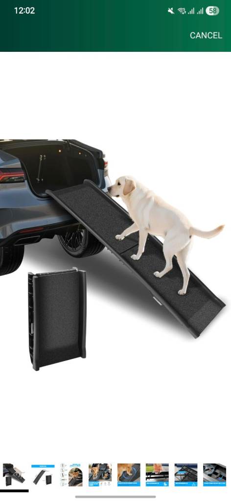 Folding Dog Ramp