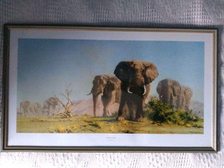Framed Print "The Ivory is Theirs" by David Shepherd OBE 