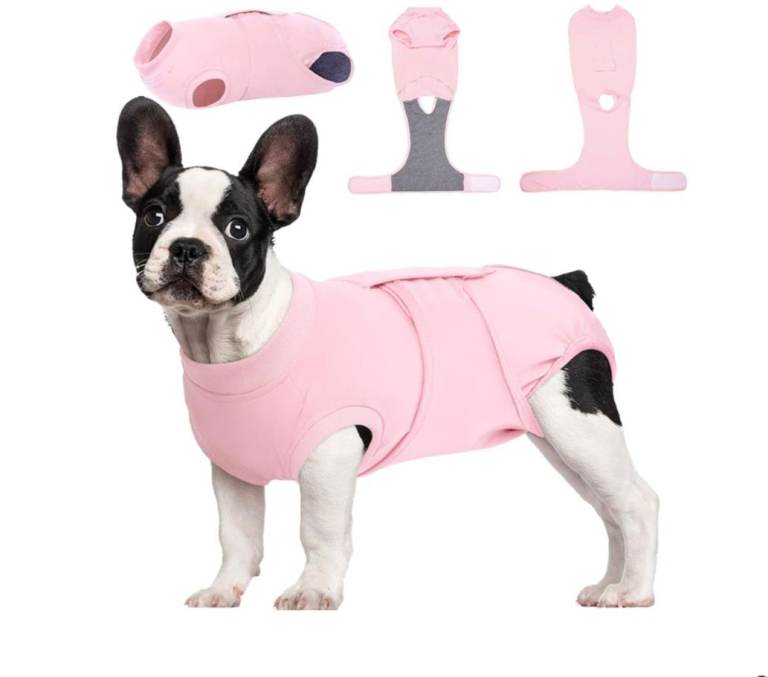 dog recovery suit