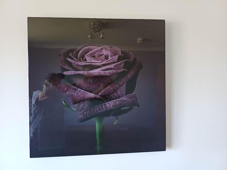 An ex-B&Q Baccara Black Rose high gloss finish Picture 