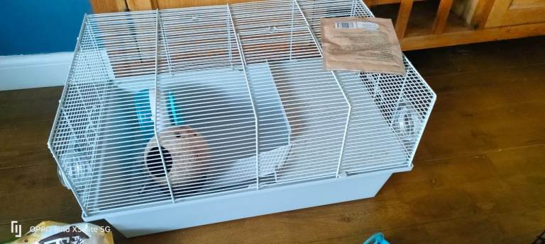 Hamster cage and accessories 