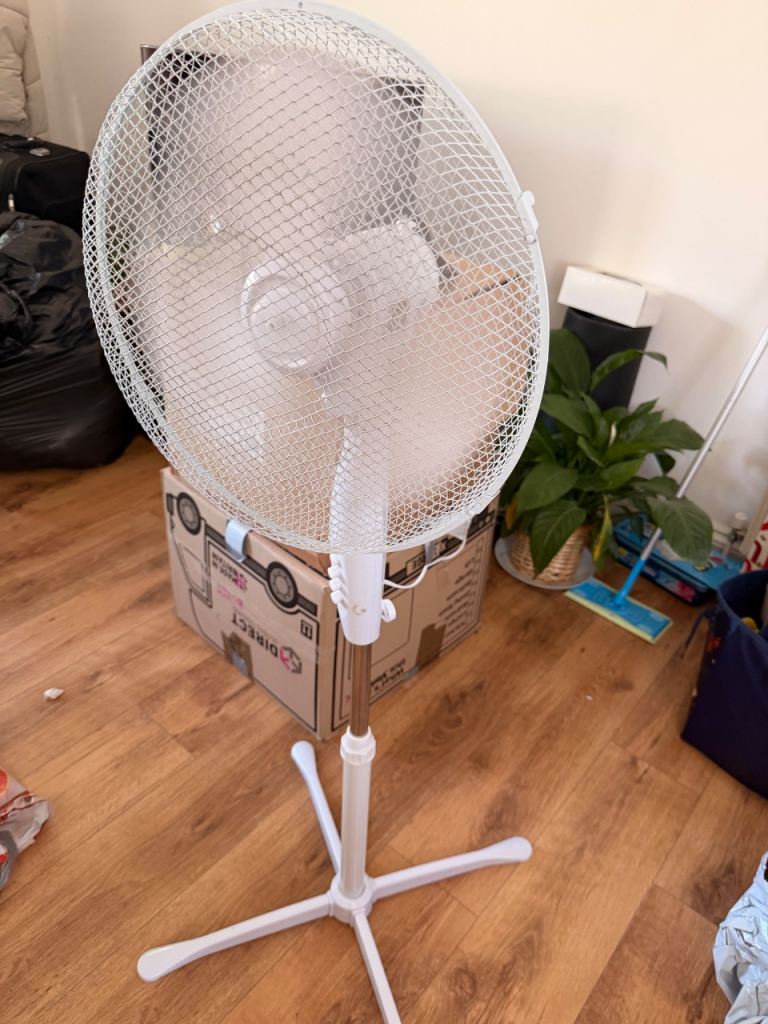 Fan 