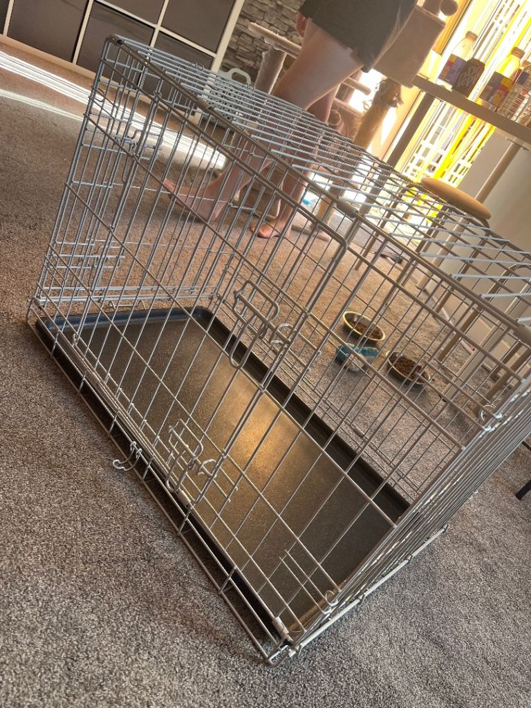 Dog cage 