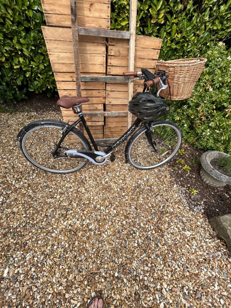Ridgeback shopping bike