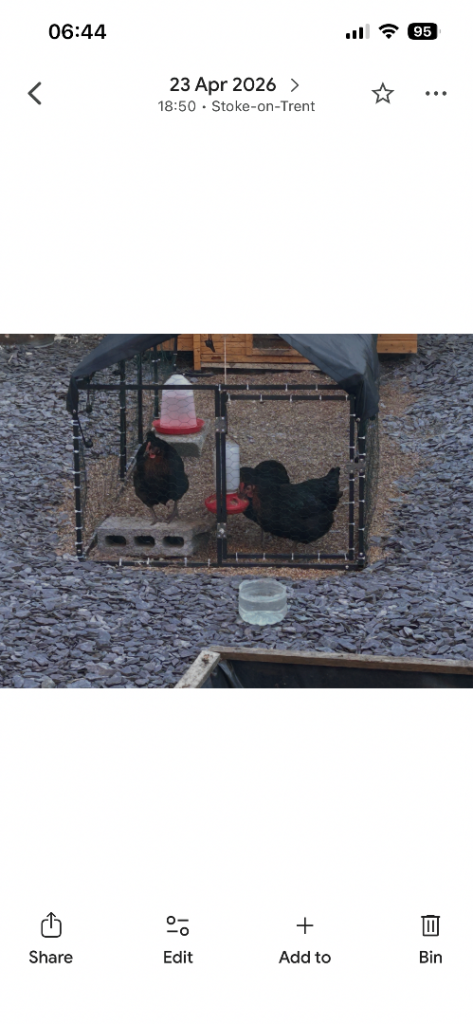 Hens/Chickens coop