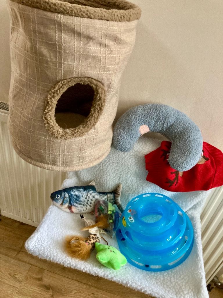 Cat / pet accessories - toys - tunnel - radiator bed etc