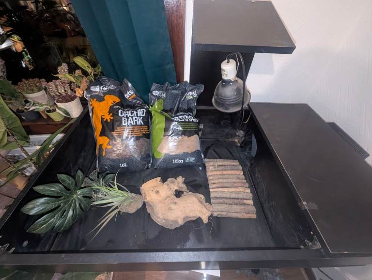 Tortoise table with accessories for sale