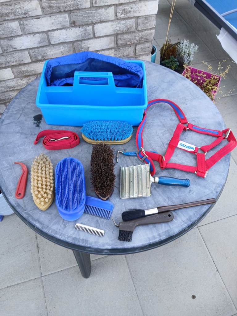 Horse Grooming Kit & Halter – Good Condition
