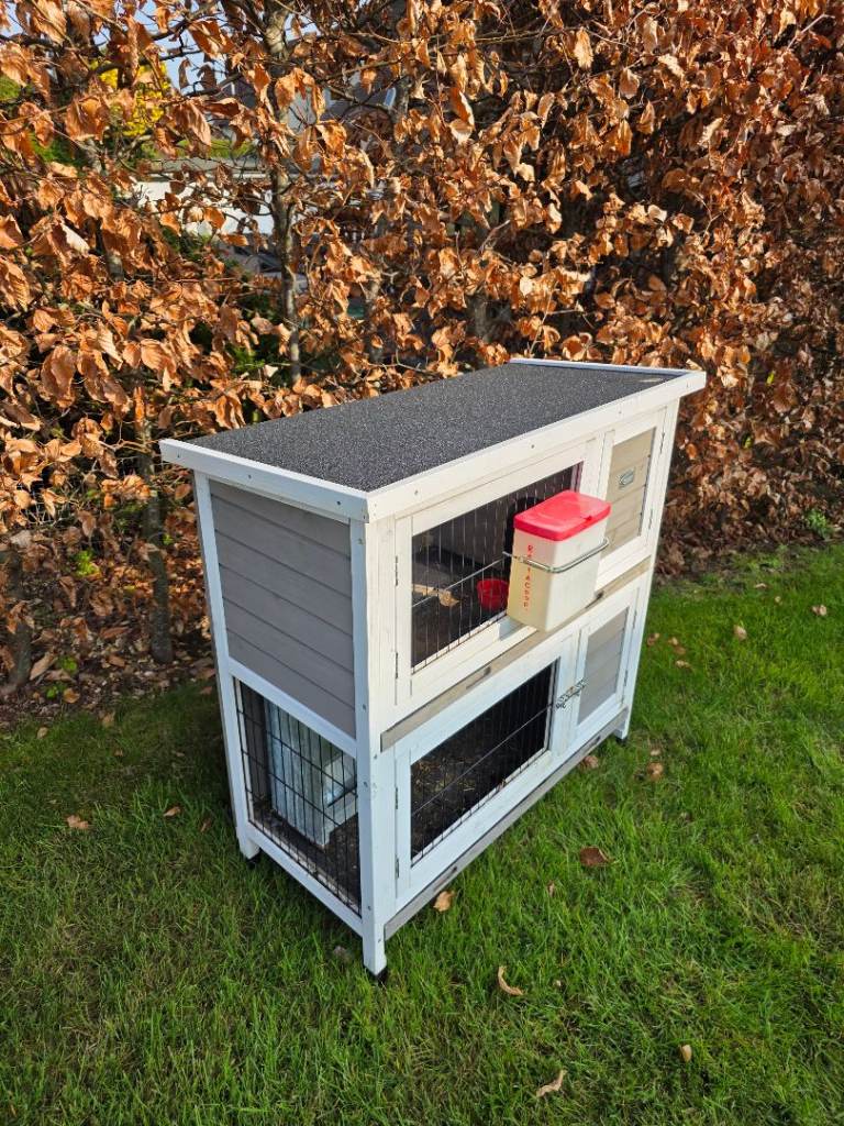 Small Animal Hutch