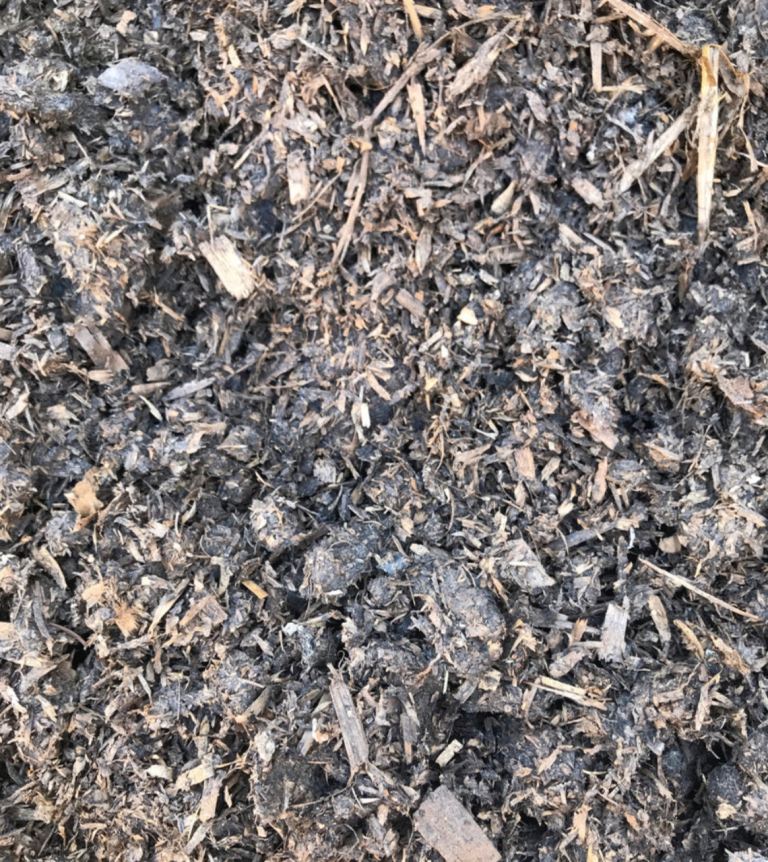 Well rotted horse manure 