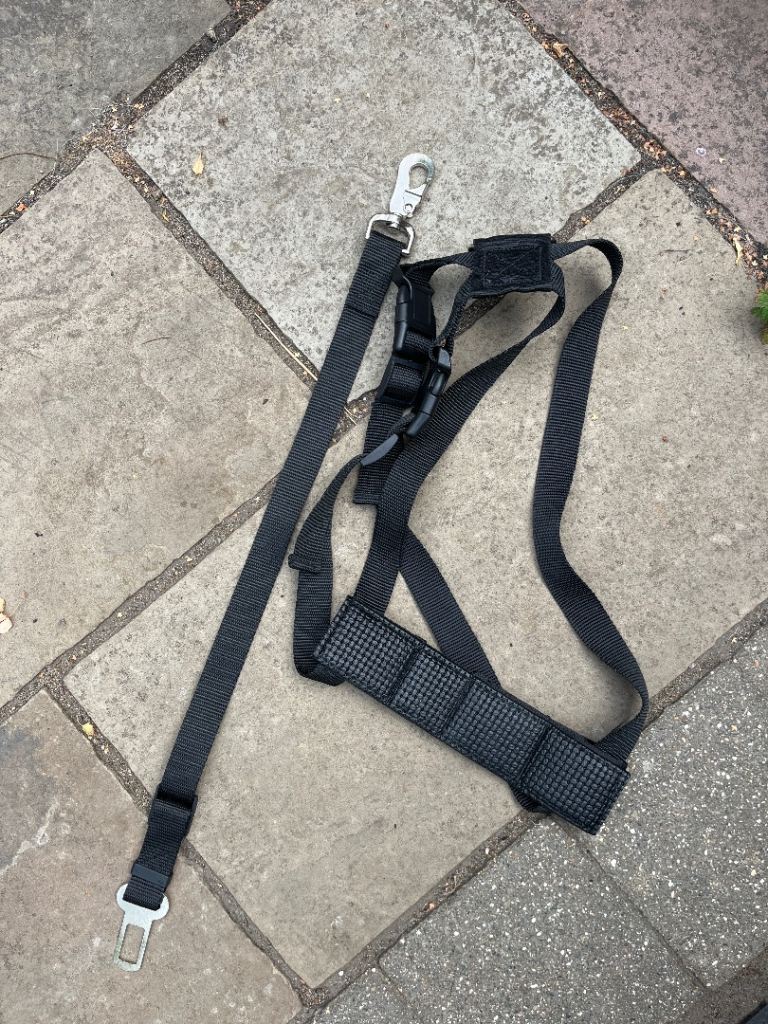 Car harness and seatbelt for large Dog, unused