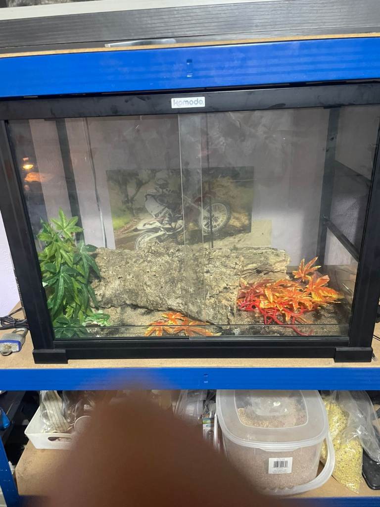 Komodo vivarium 60x30x45cm