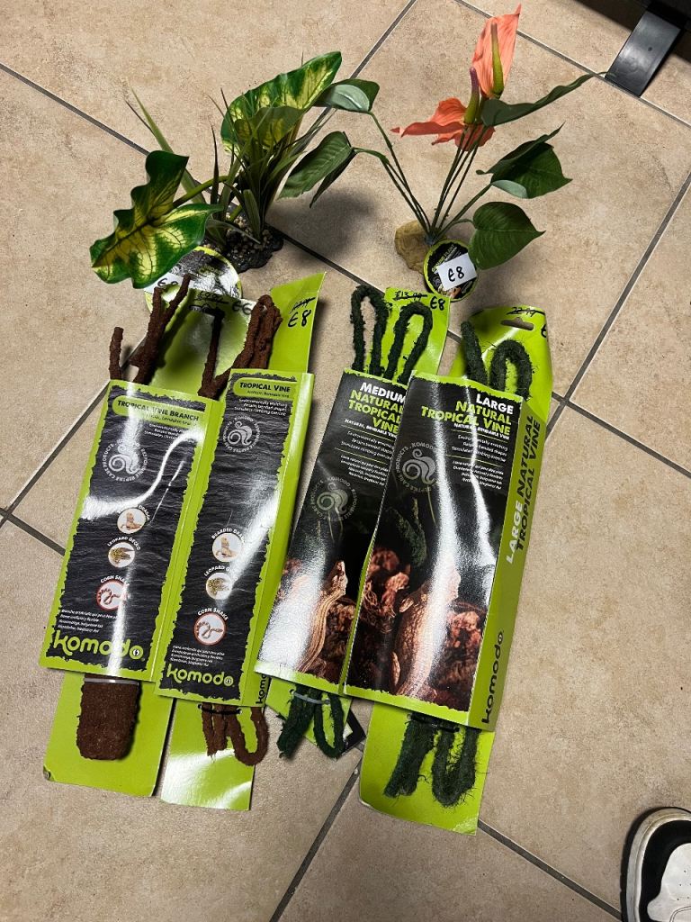 Reptile lizard snake dragon tortoise accessories
