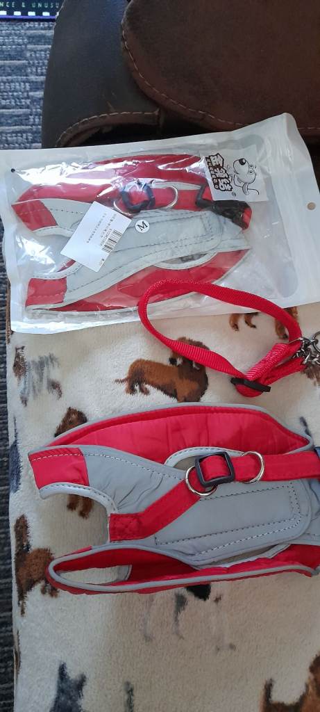 Dog harness 