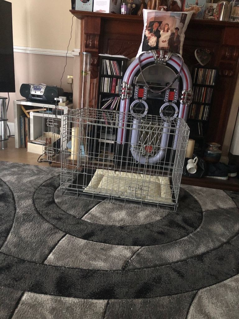 Pets cage 2 door never been used 