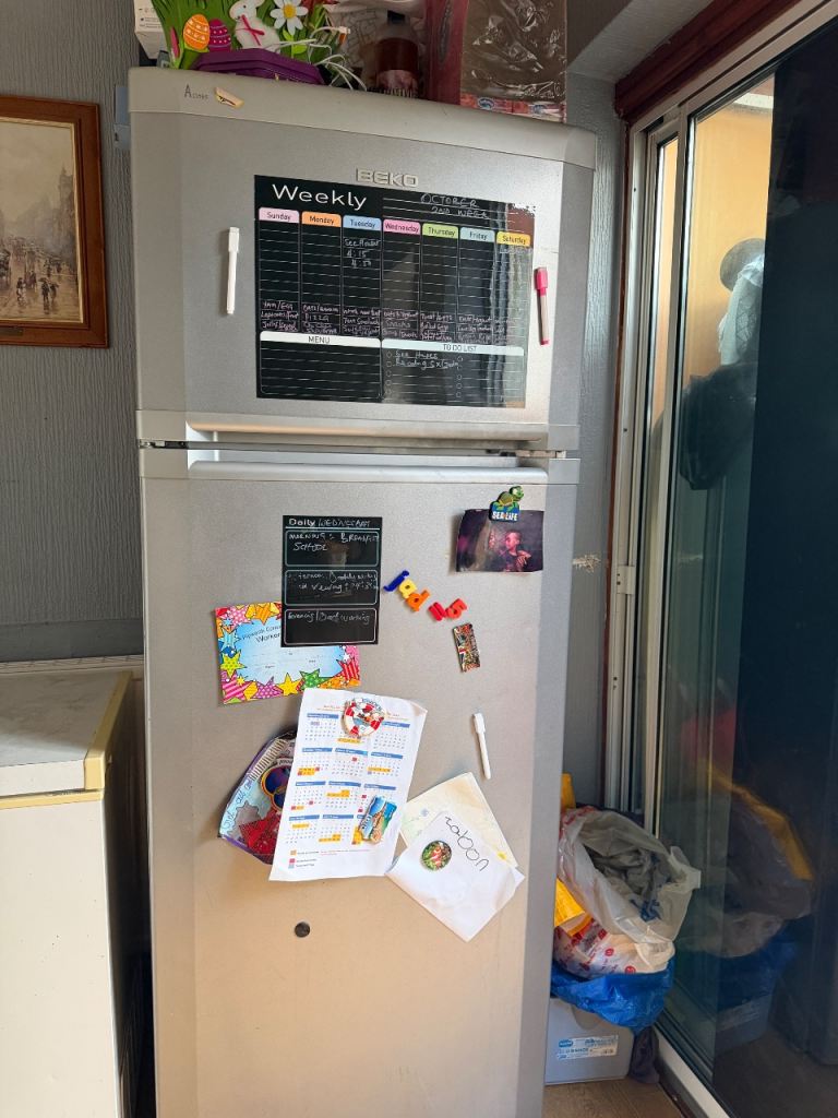 Silver Fridge