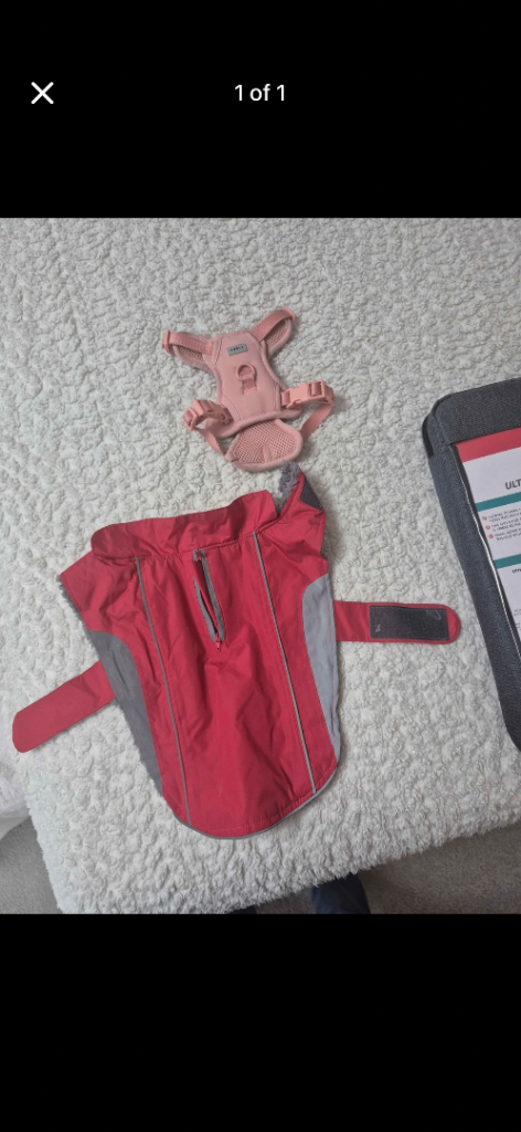 Puppy harness and dog coat