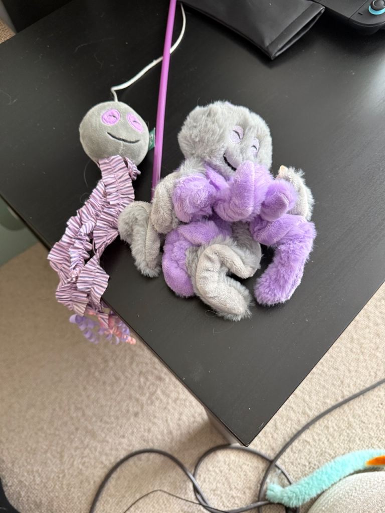 Selection of cat toys 