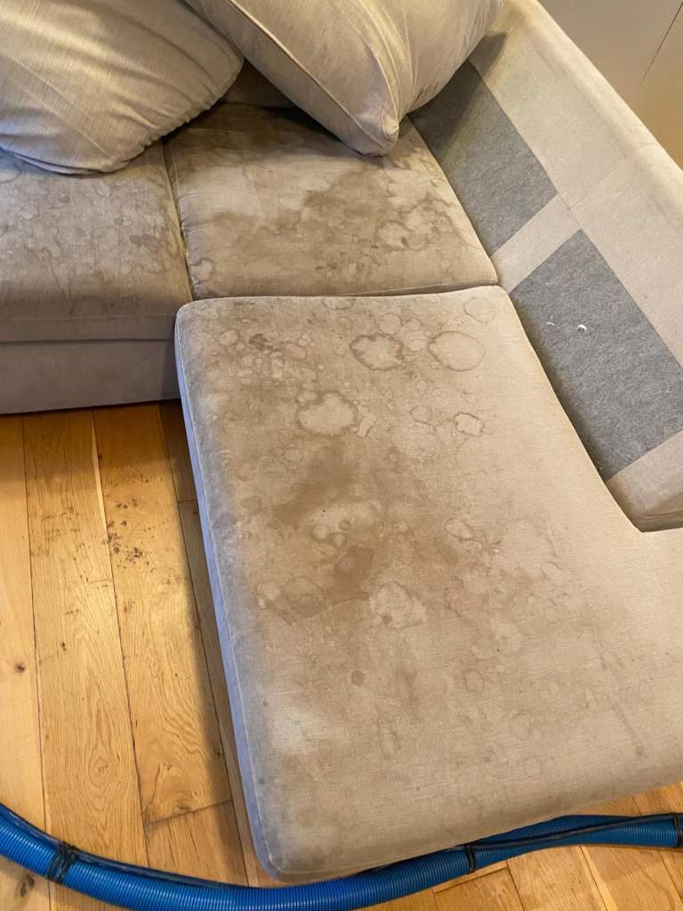     Professional Carpet & Upholstery Cleaning