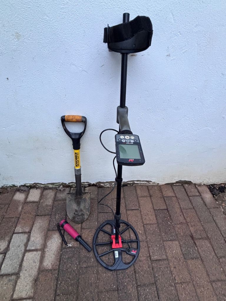 Minelab equinox 800