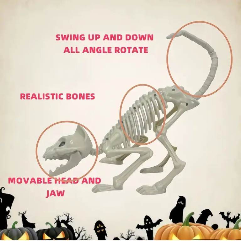 Halloween 2pcs Poseable animal Skeletons
