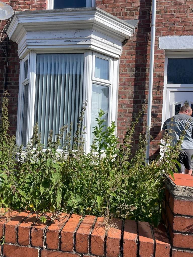 2 bedroom terraced house for sale in County Durham