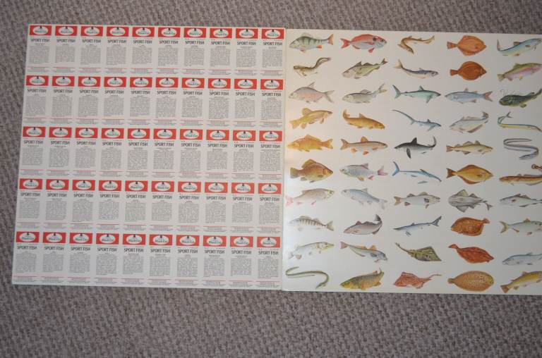 X2 UNCUT SHEETS FISH BLACK CAT SPORT FISH CARDS SET 