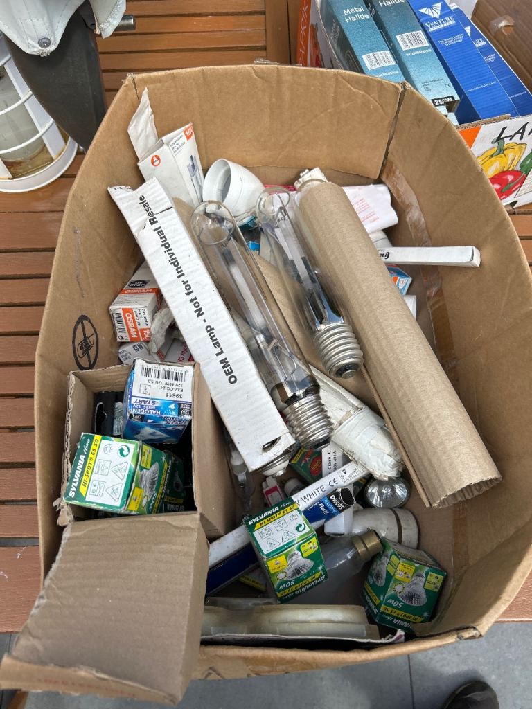 Box of Mixed Light Bulbs and Lamps – Various Types