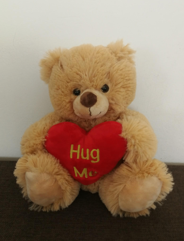 Brown Teddy Bear, New