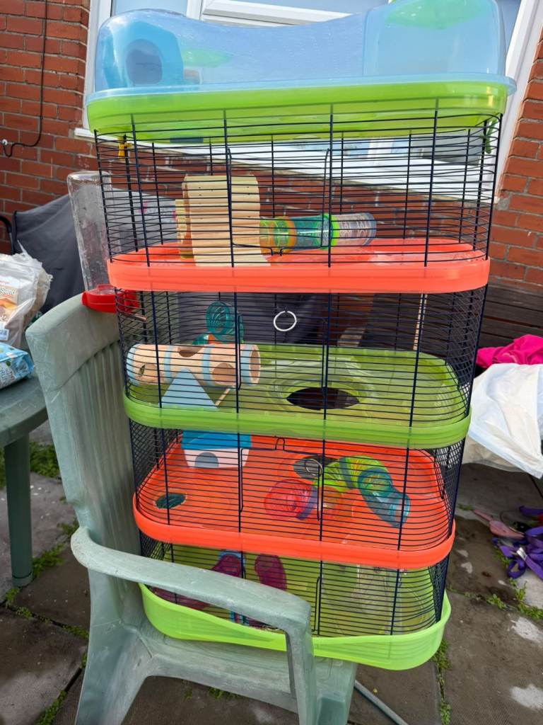 Syrian hamster Totally Set up & Accessories and Two Cages -